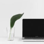 MacBook Pro beside plant in vase